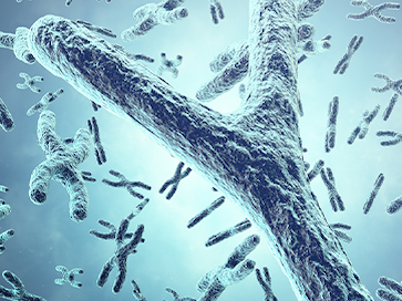 Microdélétion du chromosome Y