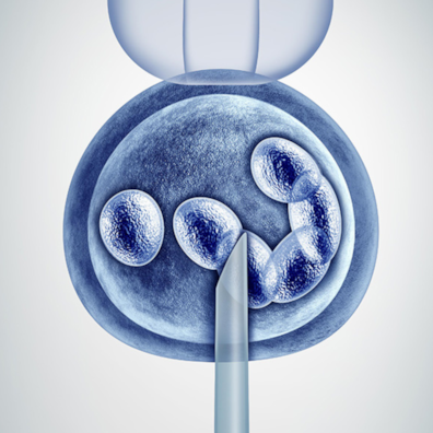 Embriyo Testi